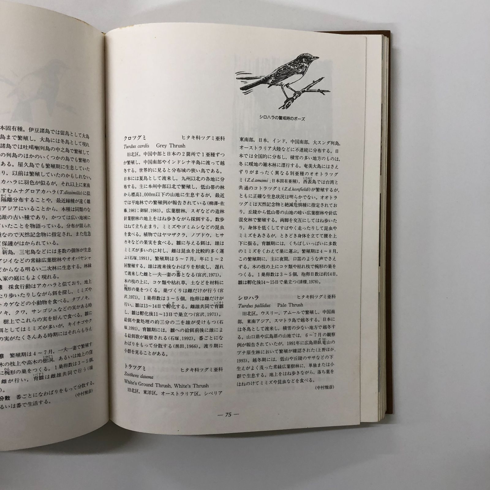 ◇[K]原色日本野鳥生態図鑑 陸鳥編 中村 登流; 中村 雅彦 - メルカリ