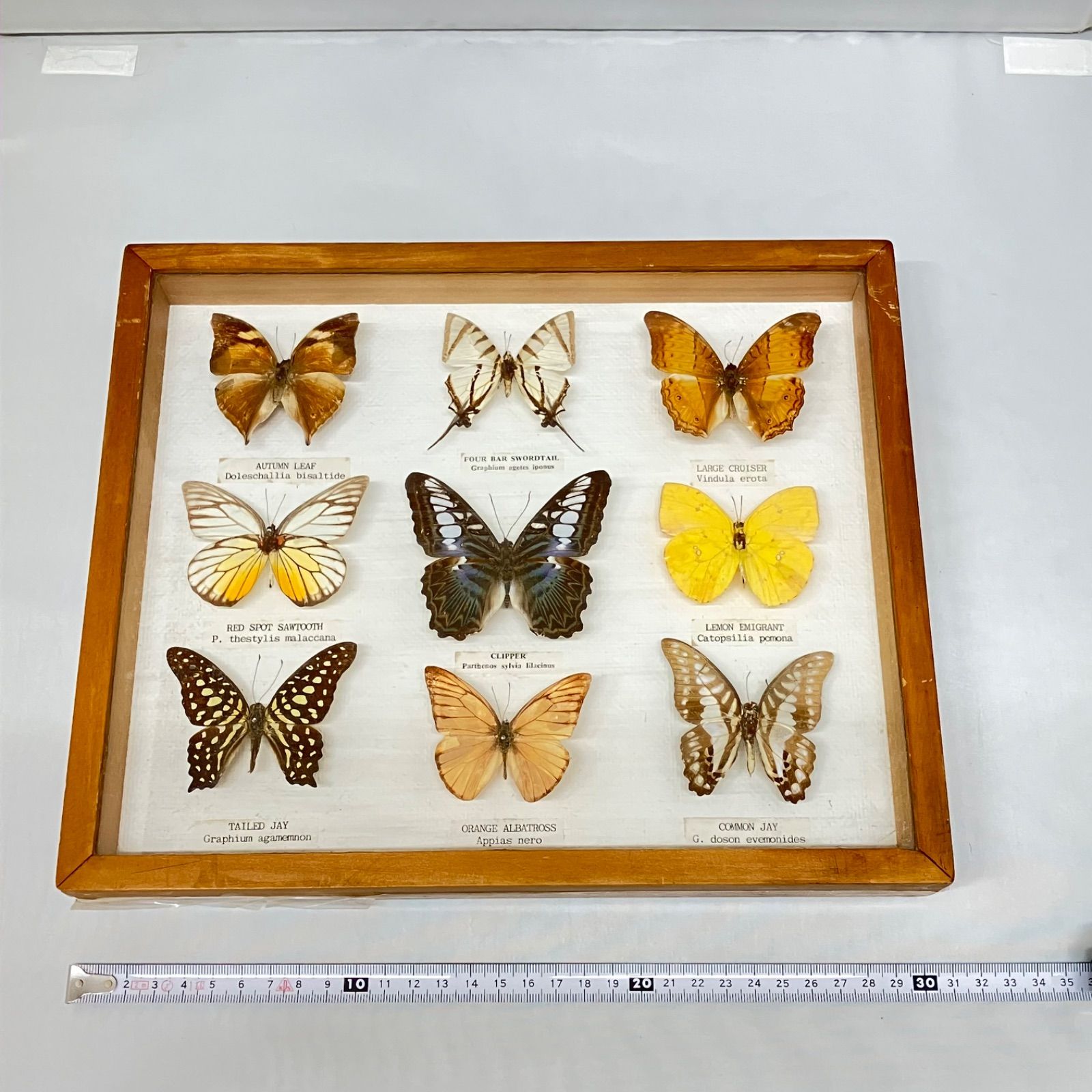 イチョウページ New Mini excavator Hitachi ZX33U-6 for sale - 10389715