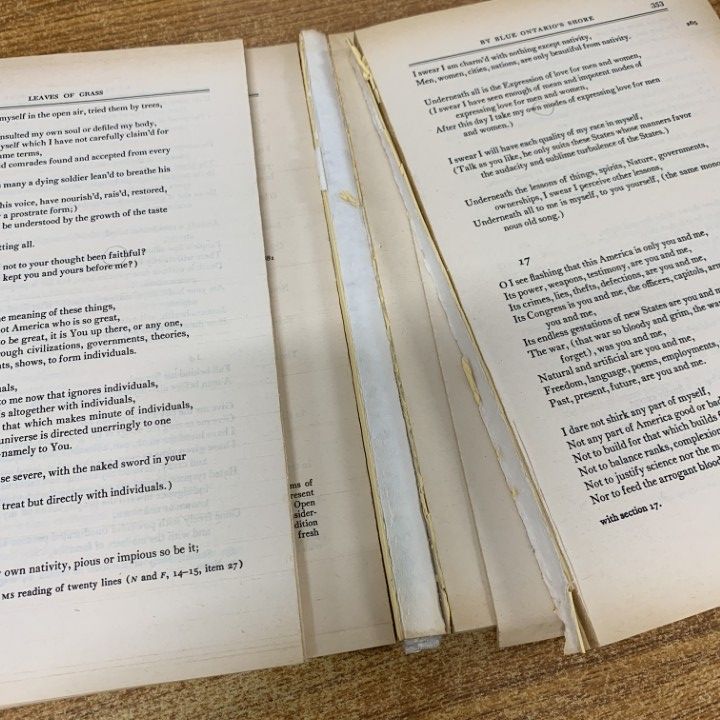 英語 洋書 関係 本 25冊セット まとめ売り ビジネス 政治 経済 企業 英国 □01)【同梱不可】洋書まとめ売り約25冊セット/パンギンブックス