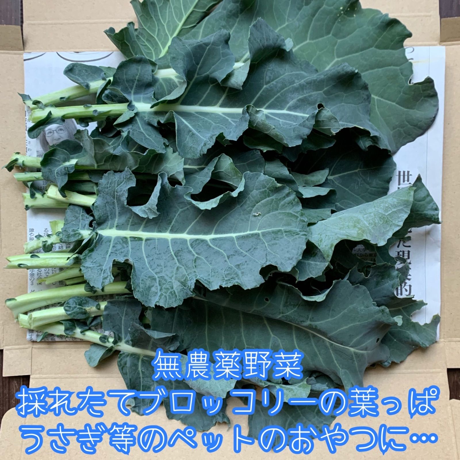 小動物用 乾燥野菜セット 大根の葉 人参 小松菜(おまけ) - その他