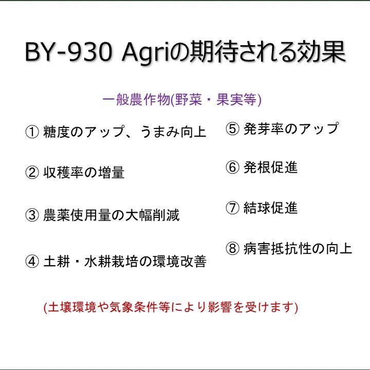 家庭菜園