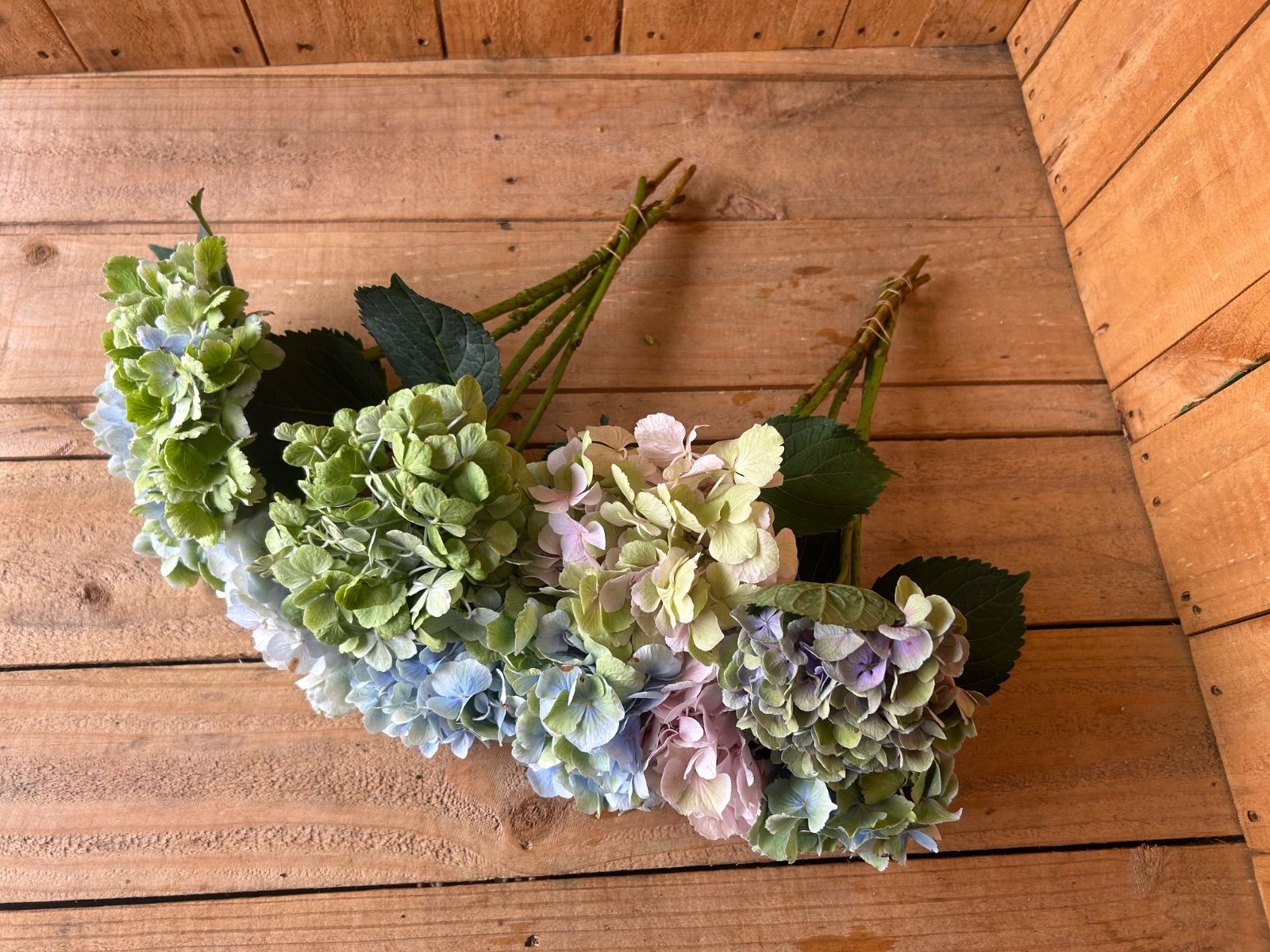 H*s様 【大幅値下げ】キン肉マン シリーズ ほぼ全巻セット