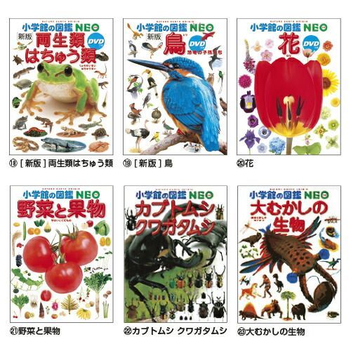 小学館の図鑑NEO (12)乗りものNEOﾉﾘﾓﾉ【小学館】 - メルカリ