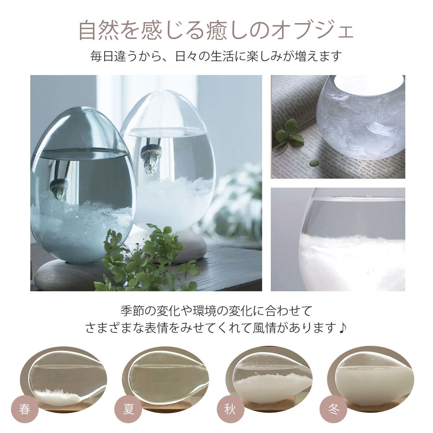 テンポパルス 卵型のインテリア