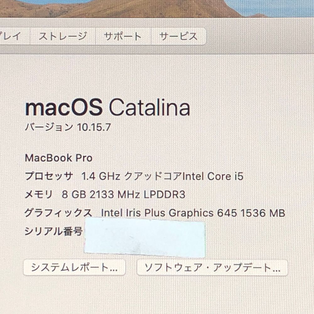 【本体のみ】Apple MacBook Pro (13インチ， 2020， Thunderbolt 3ポート x 2)【Touch Bar・i5・8GB・256GB】A2289 EMC3456/LT-250337（268352）