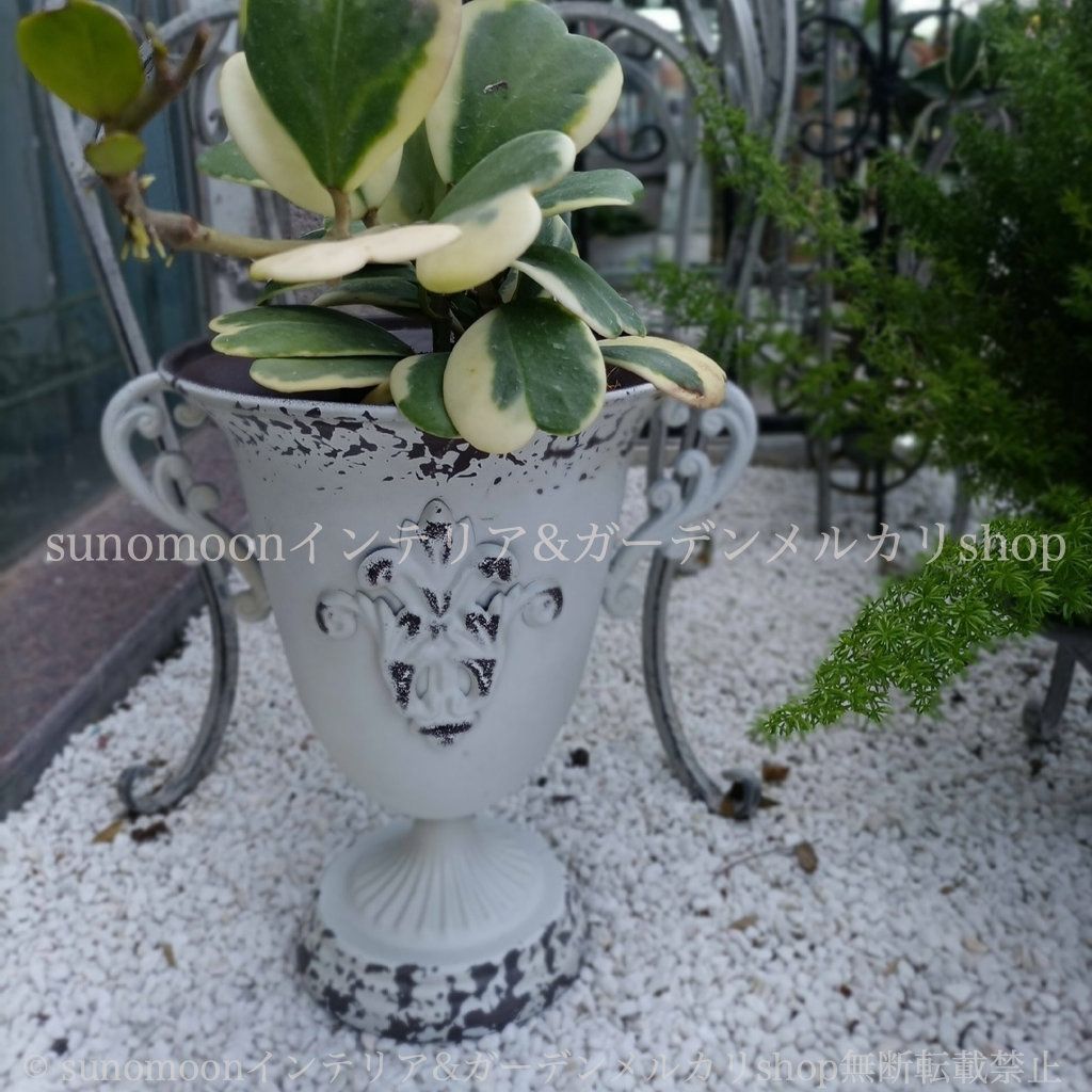 お洒落 エレガント