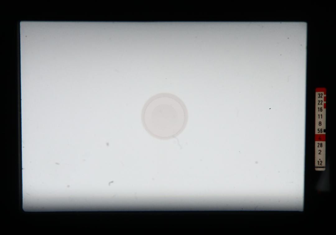 F-1 LosAngelsモデル