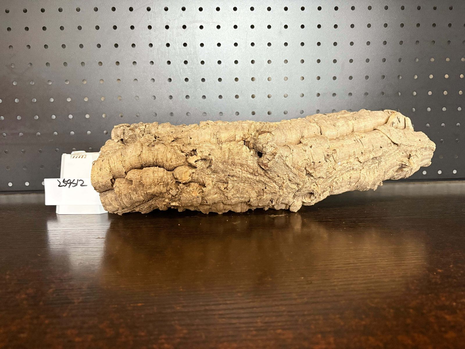 コルク樹皮 コルク板