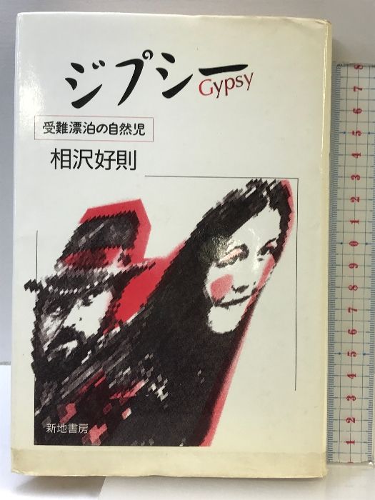 ジプシー 受難漂泊の自然児  新地書房  相沢好則  1989年
