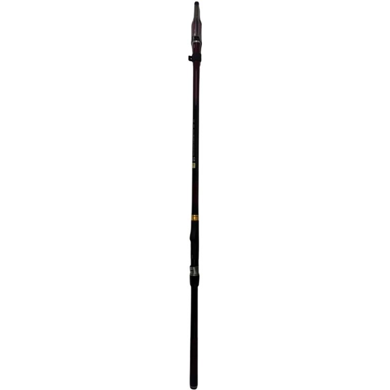 DAIWA ダイワ 波濤 4-50HR N 振り出し竿 ロッド フィッシング 釣り具 42509R5