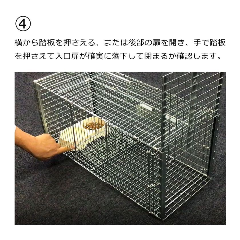 アニマルキャッチャー猫の保護器