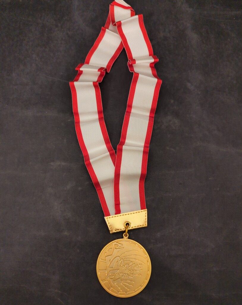 モンスターファーム　予選大会優勝メダル テクモ モンスターファーム甲子園 予選優勝メダル - メルカリ