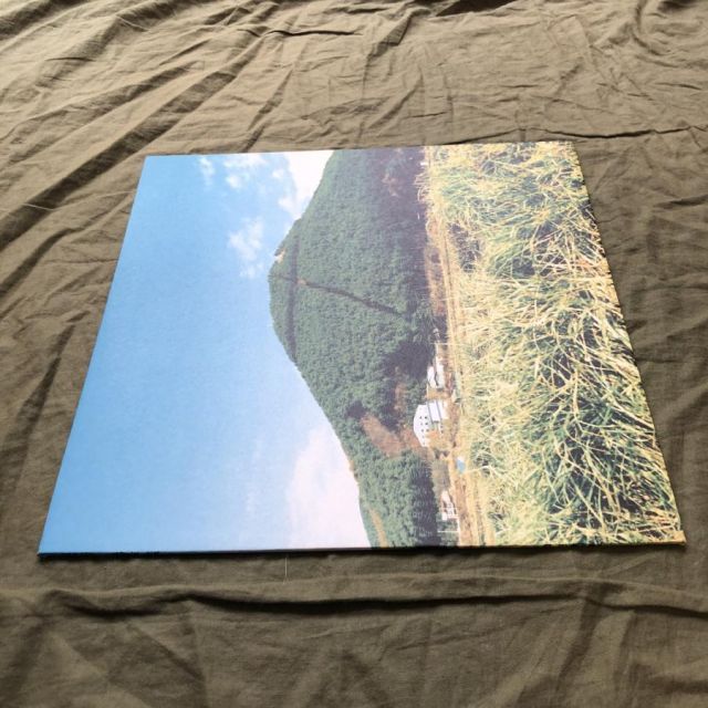 傷なし美盤 美ジャケ 1998年 奥田民生 Tamio Okuda LPレコード 股旅 J