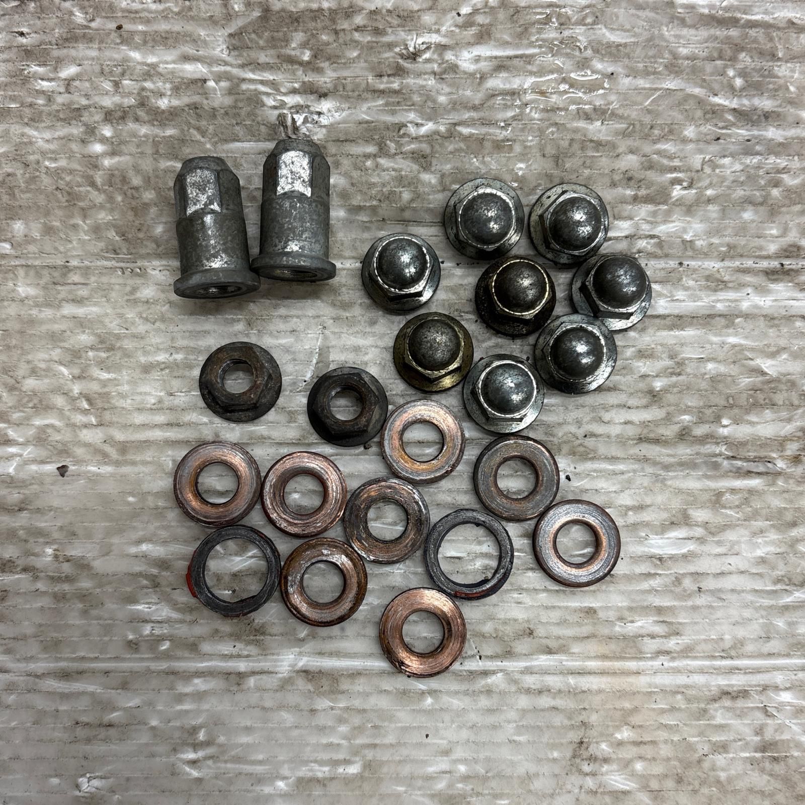 Onkyo Dr.STONE 西園寺羽京 イヤホン ドクスト ドクターストーン 2024