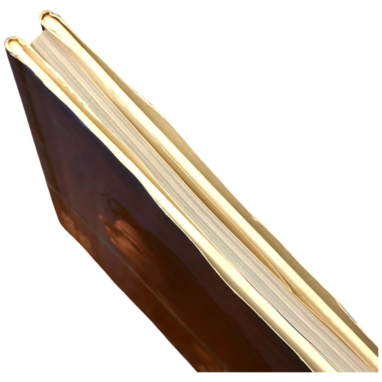 立河宜子写真集 eyes 渡辺達生 ワニブックス 1995年10月1日 ☆写真集