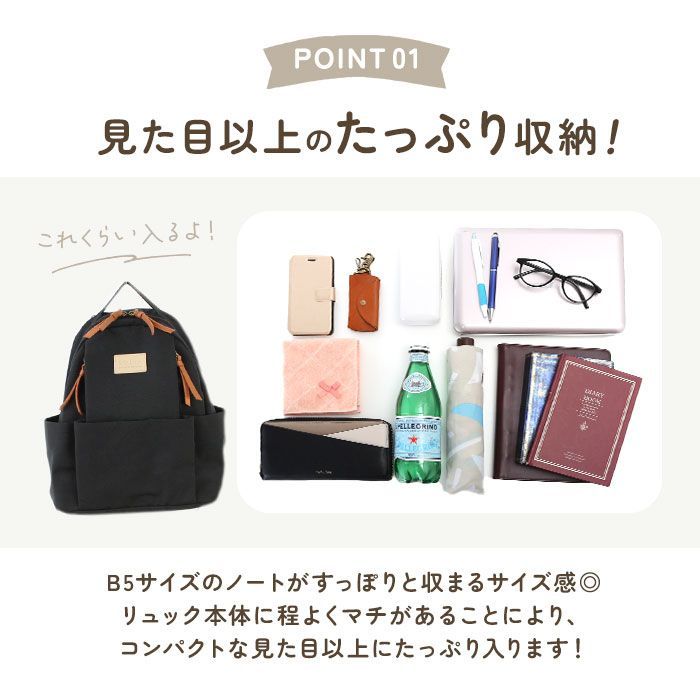 小型PC すっぽり収まるリュック付き Z PACK | type-C2 Laminated Backpack Expandable B4/15.6