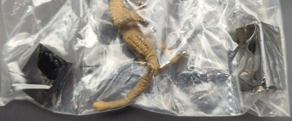 帰ってきたウルトラ怪獣名鑑|怪獣チャンネル編 怪獣チャンネル編