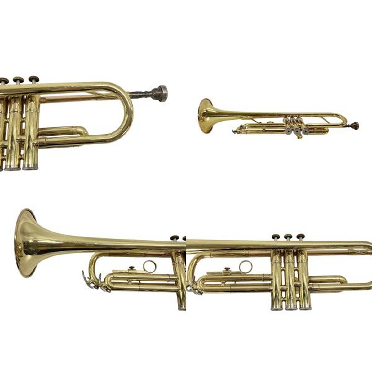 ケース マウスピース付