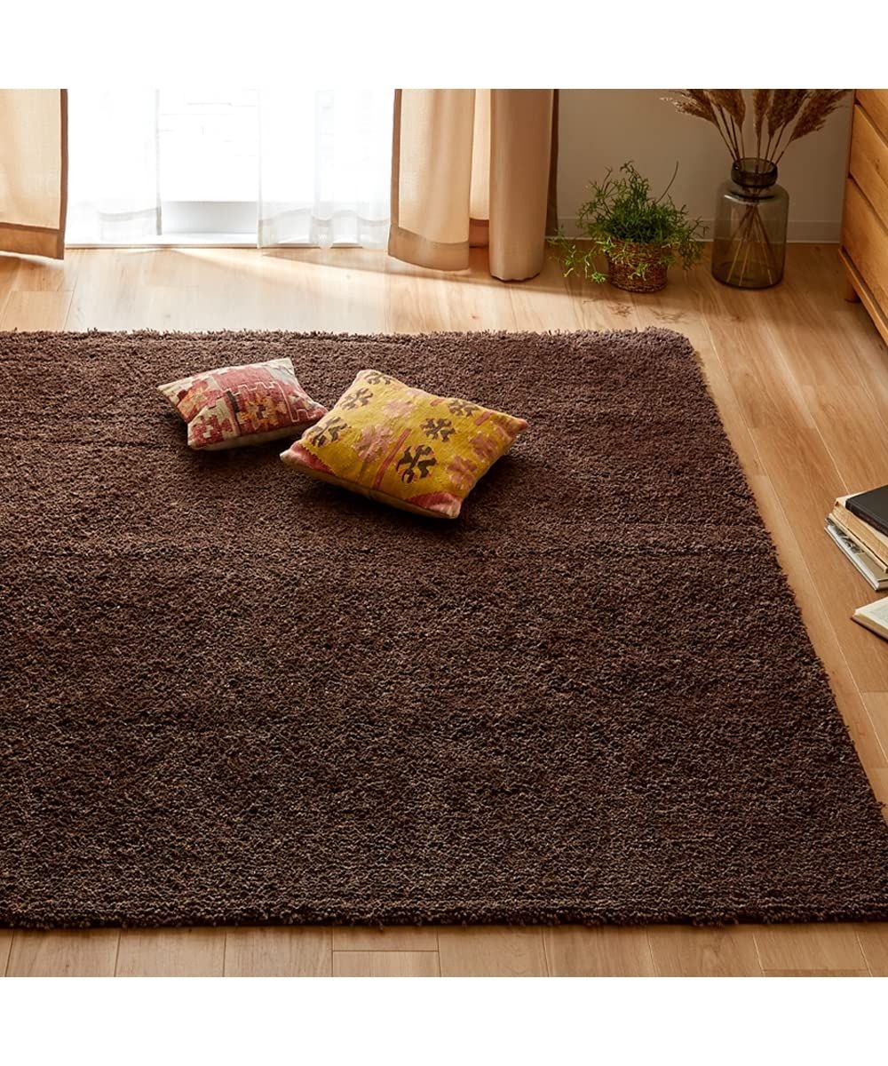 ニッセン ラグ 洗える防ダニ 抗菌防臭シャギーラグ ブラウン 約185×185cm