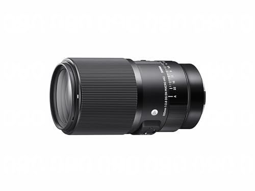 レンズ(単焦点) CONTAX Distagon 18mm F4 T* #1075375619 REVIEW