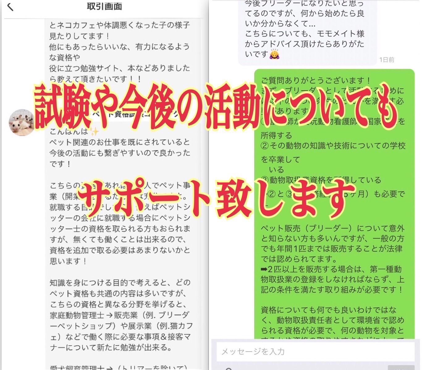 日本ケンネルカレッジ　オリジナルテキスト　愛犬飼育管理士教本　看護技術学　問題集 Amazon.co.jp: JKC 愛犬飼育管理士教本 2021年度版 ジャパン