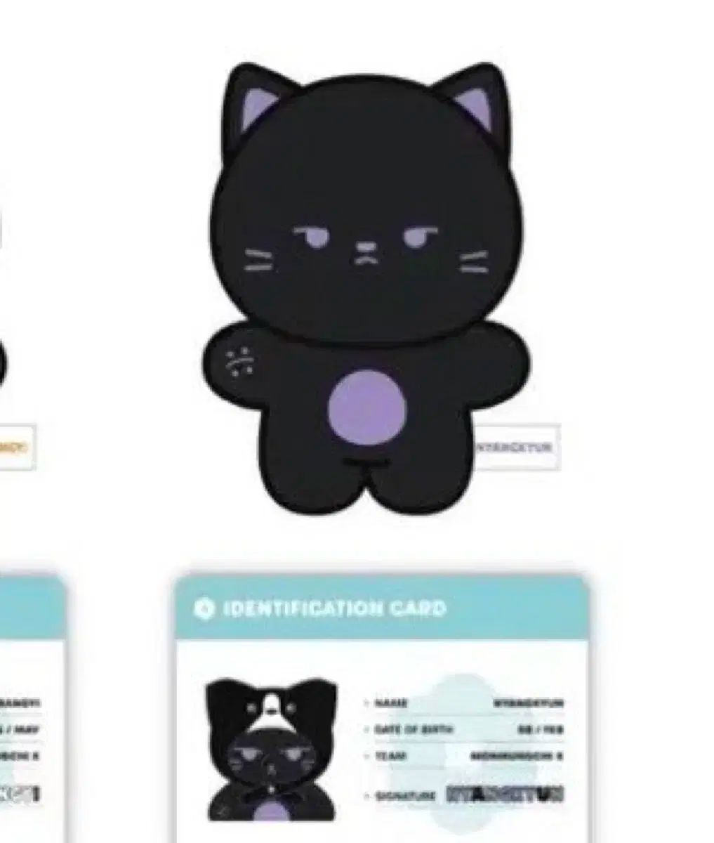 ミニミニバクテリア