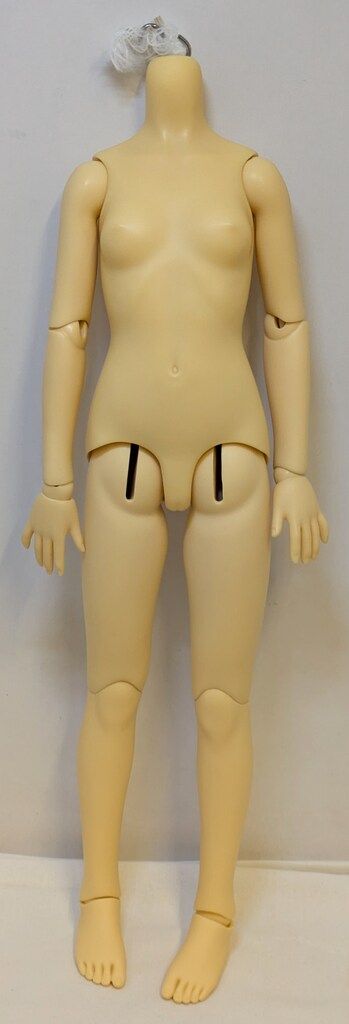 ボークス SD女の子 ボディのみ ノーマル肌