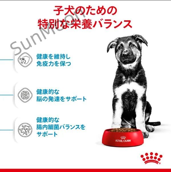 パピー