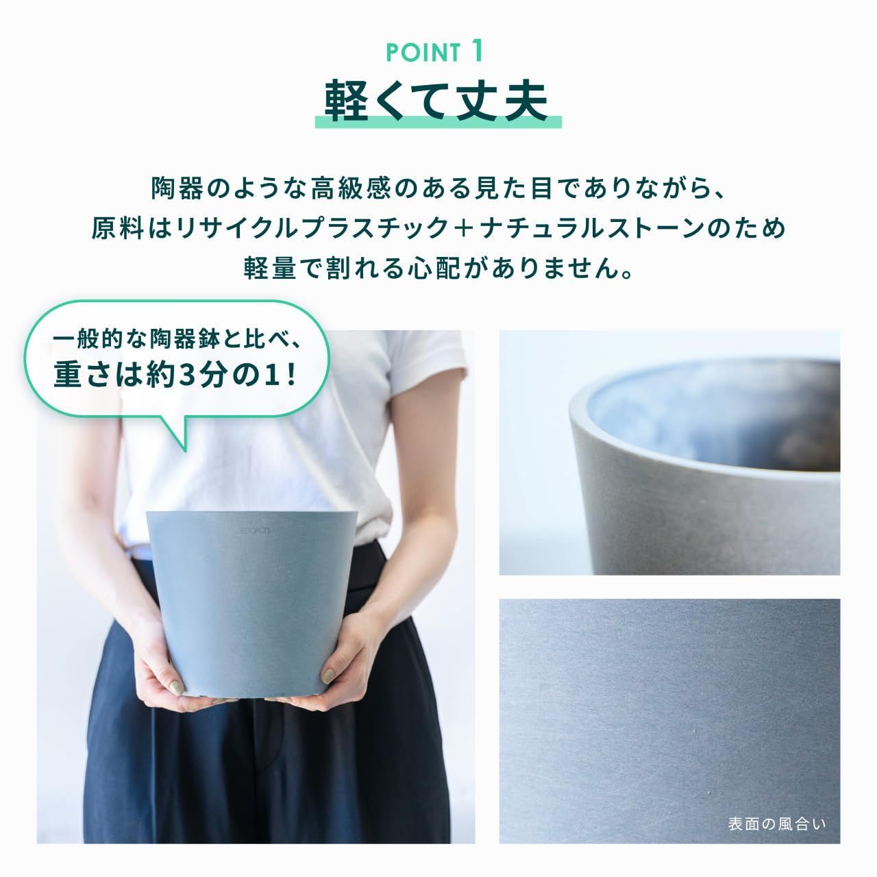 彡PLANTS AND