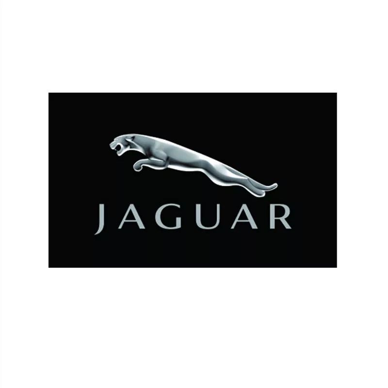 JAGUAR ジャガーロゴ レーシングフラッグ 色:ブラック - メルカリ JAGUAR ジャガーロゴ レーシングフラッグ 色:ブラック - メルカリ