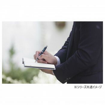 万年筆 キャップレスSE