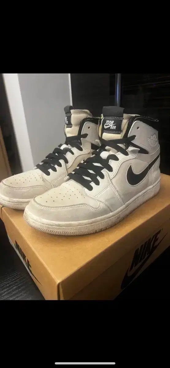 NIKE ナイキ エア ジョーダン 1 ズームエア コンポート サミットセール w255