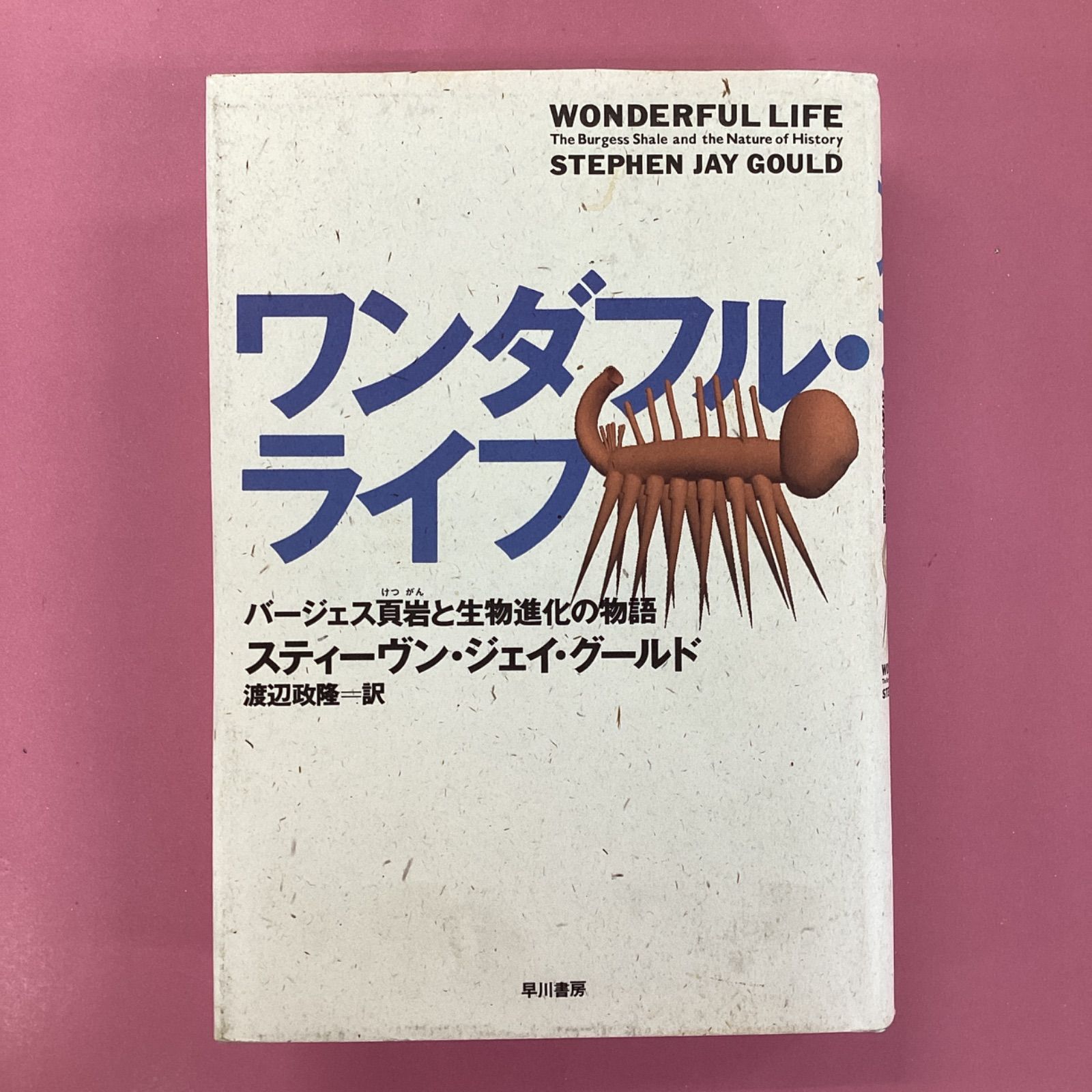 ワンダフル・ライフ バージェス頁岩と生物進化の物語 lp_a4_525 - メルカリ