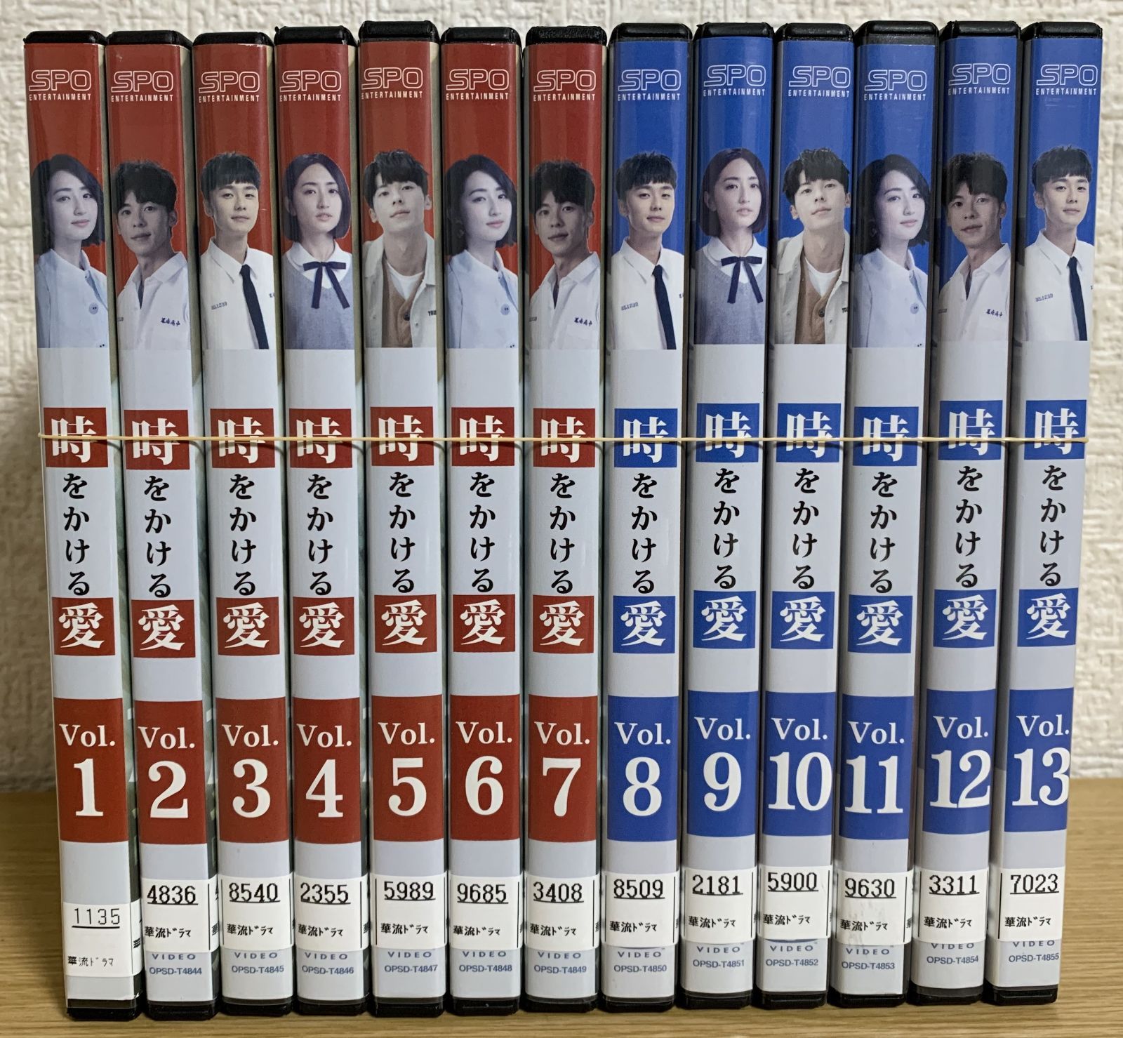 DVD 時をかける愛 全13巻セット グレッグ・ハン アリス・クー DVD 時をかける愛 全13巻セット グレッグ・ハン アリス・クー