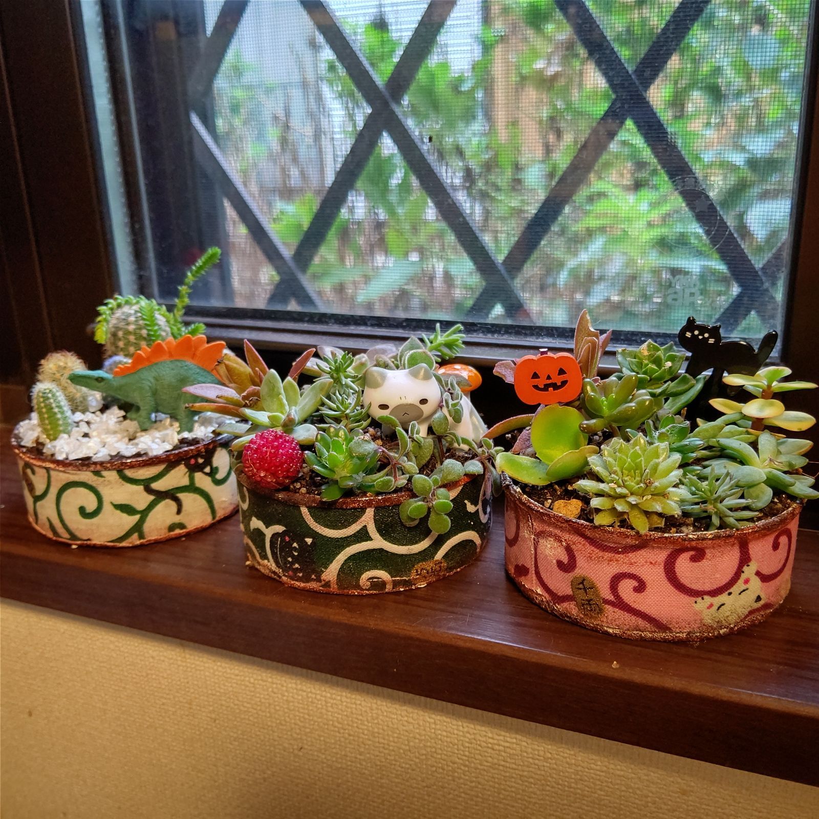 そのまま飾れる多肉植物とサボテン3個セット - メルカリ