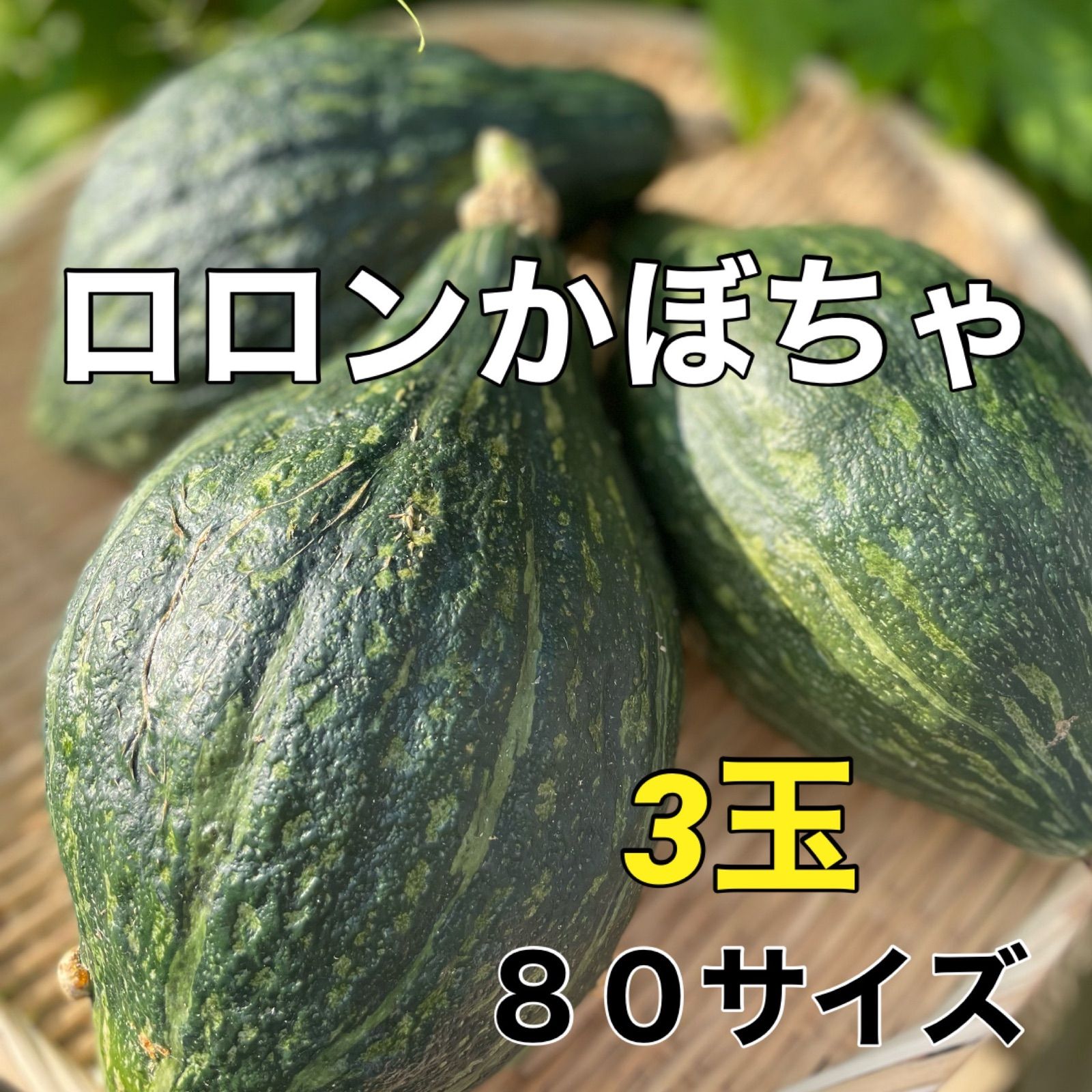 ホクホクのあま〜いかぼちゃ‼️ロロンかぼちゃ‼️5キロ - メルカリ