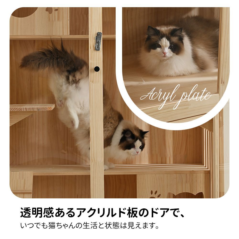 ネコ ハウス