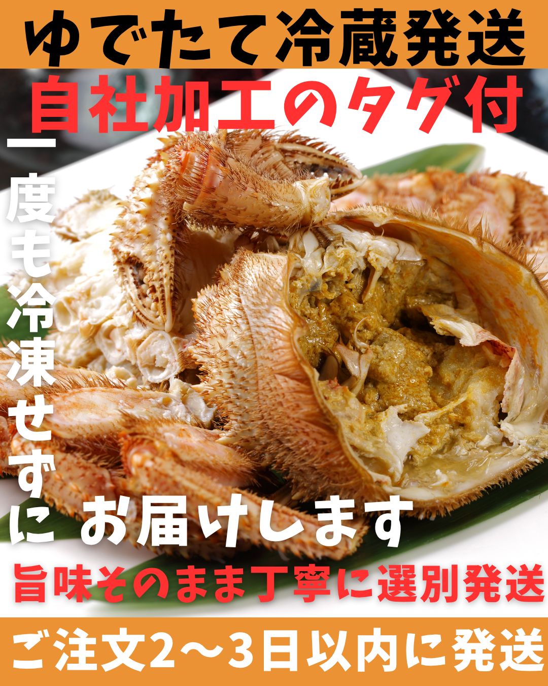 ふるさと納税 活毛ガニ 3尾 (1尾 300〜400g) 地元現役漁師が厳選 毛ガニ 冷蔵 北海道 豊浦 噴火湾 毛蟹 カニ 2024年6月末から順次出荷 北海道豊浦町 地元現役漁師が厳選！！ボイル・毛ガニ3尾（1尾300～400g）北海道