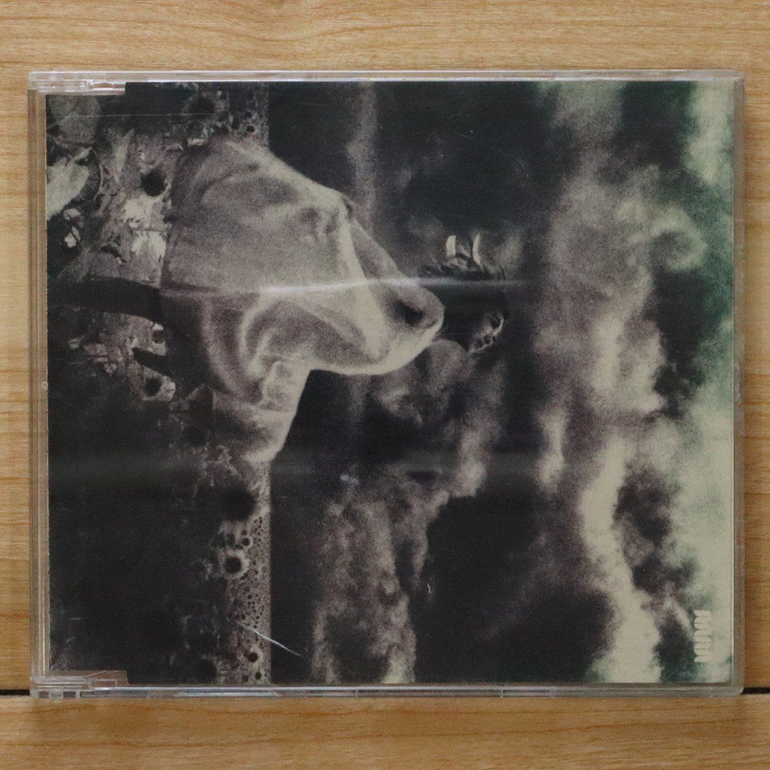 国内盤CD☆ミーシャ/MISIA□ 忘れない日々 【BVCS29016/4988017092125