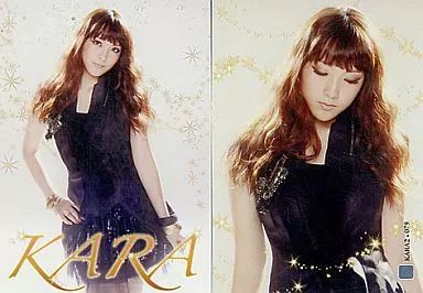 (公式)Kara コレクションカード 公式)Kara コレクションカード KARA STAR COLLECTION CARD