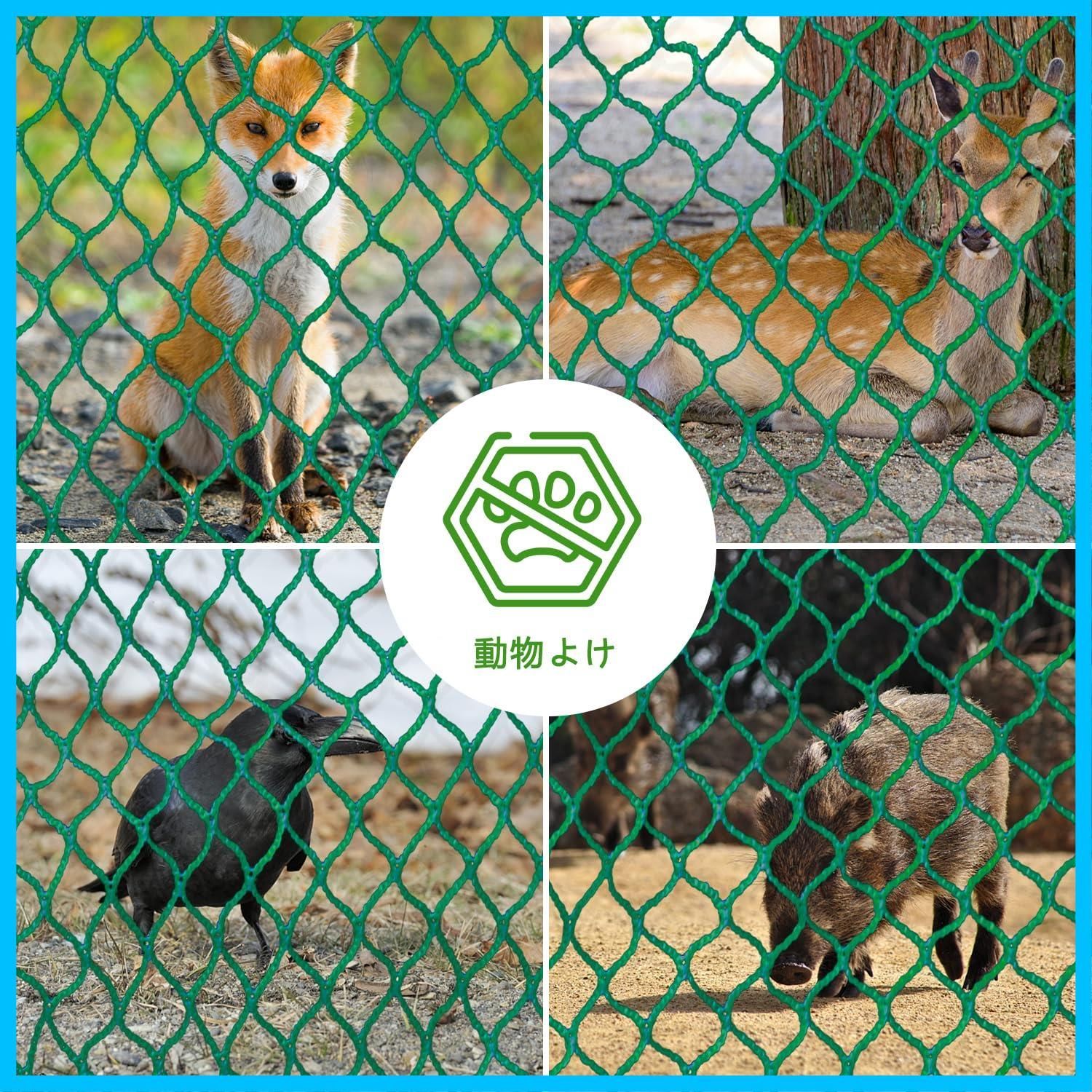 万能グリーンネット