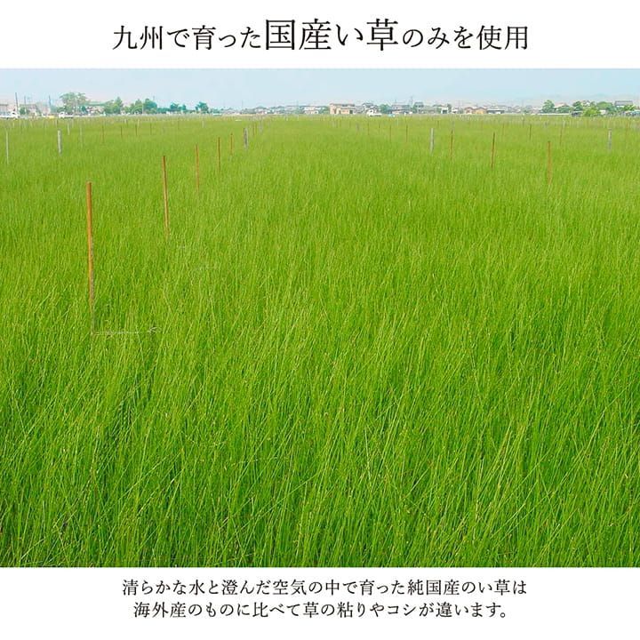 人気，大得価 花ござ カーペット 京刺子 174×174cm 江戸間2畳