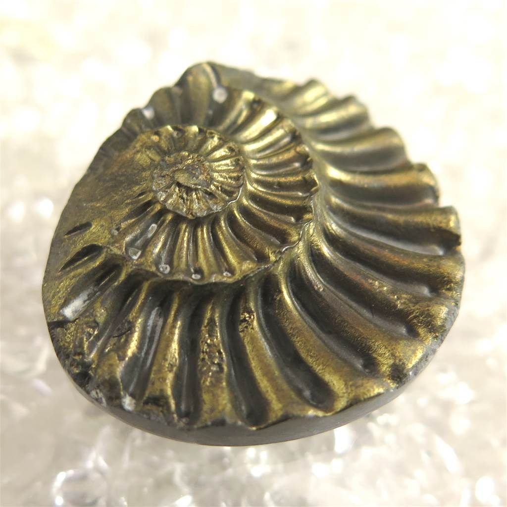 アンモナイト パイライト 化石 9.3g - メルカリ