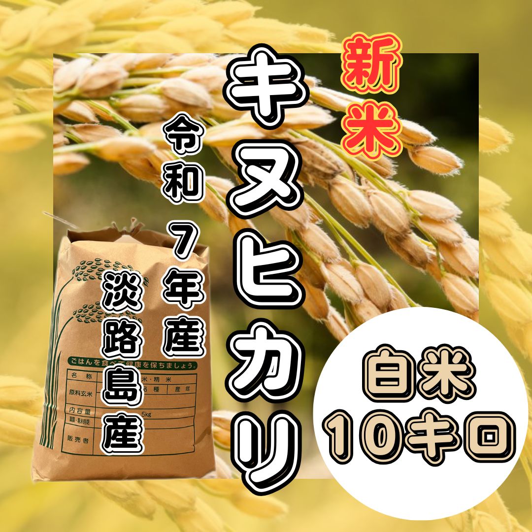 新米 令和7年産 キヌヒカリ 白米10キロ 淡路島産 産地直送