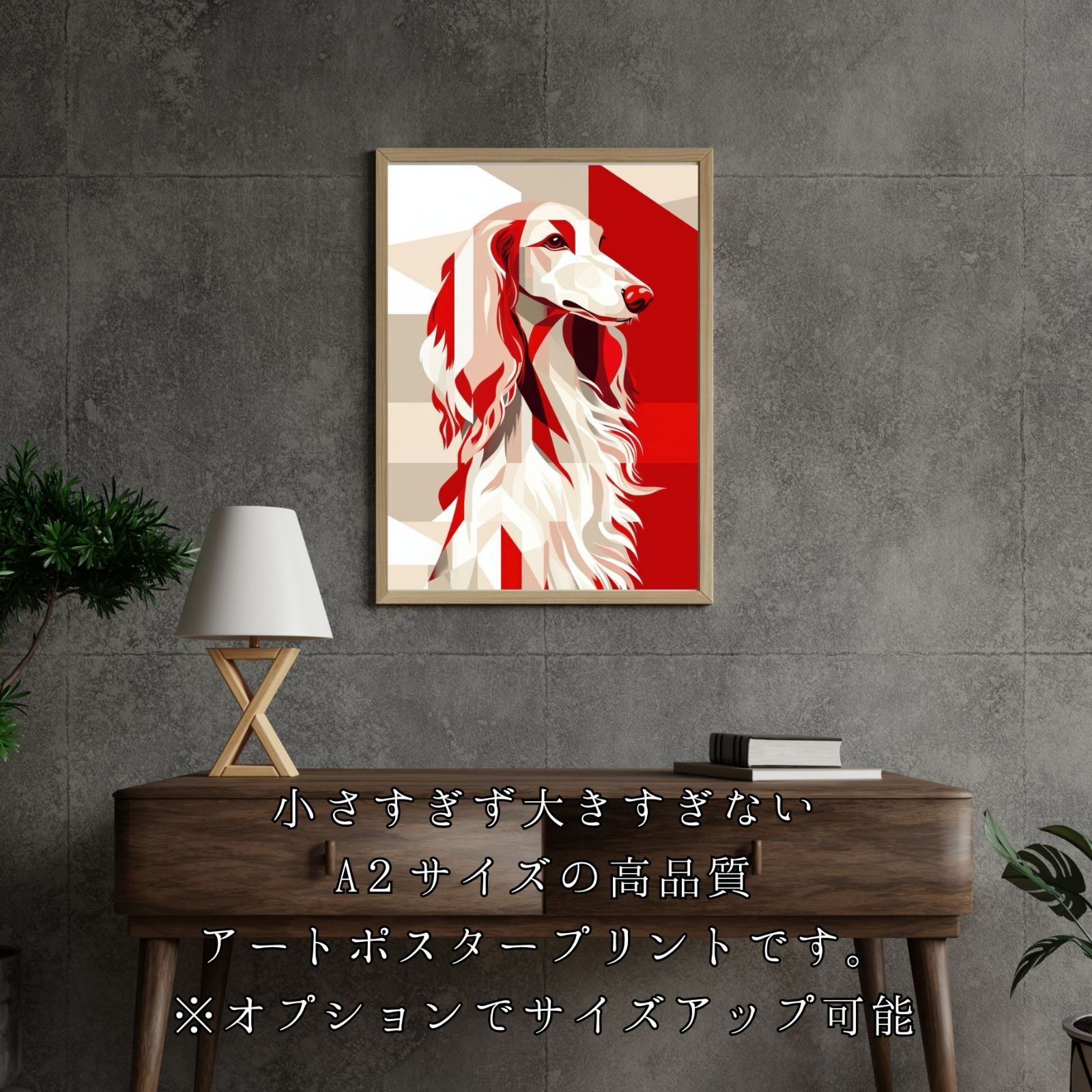 - アフガンハウンド犬