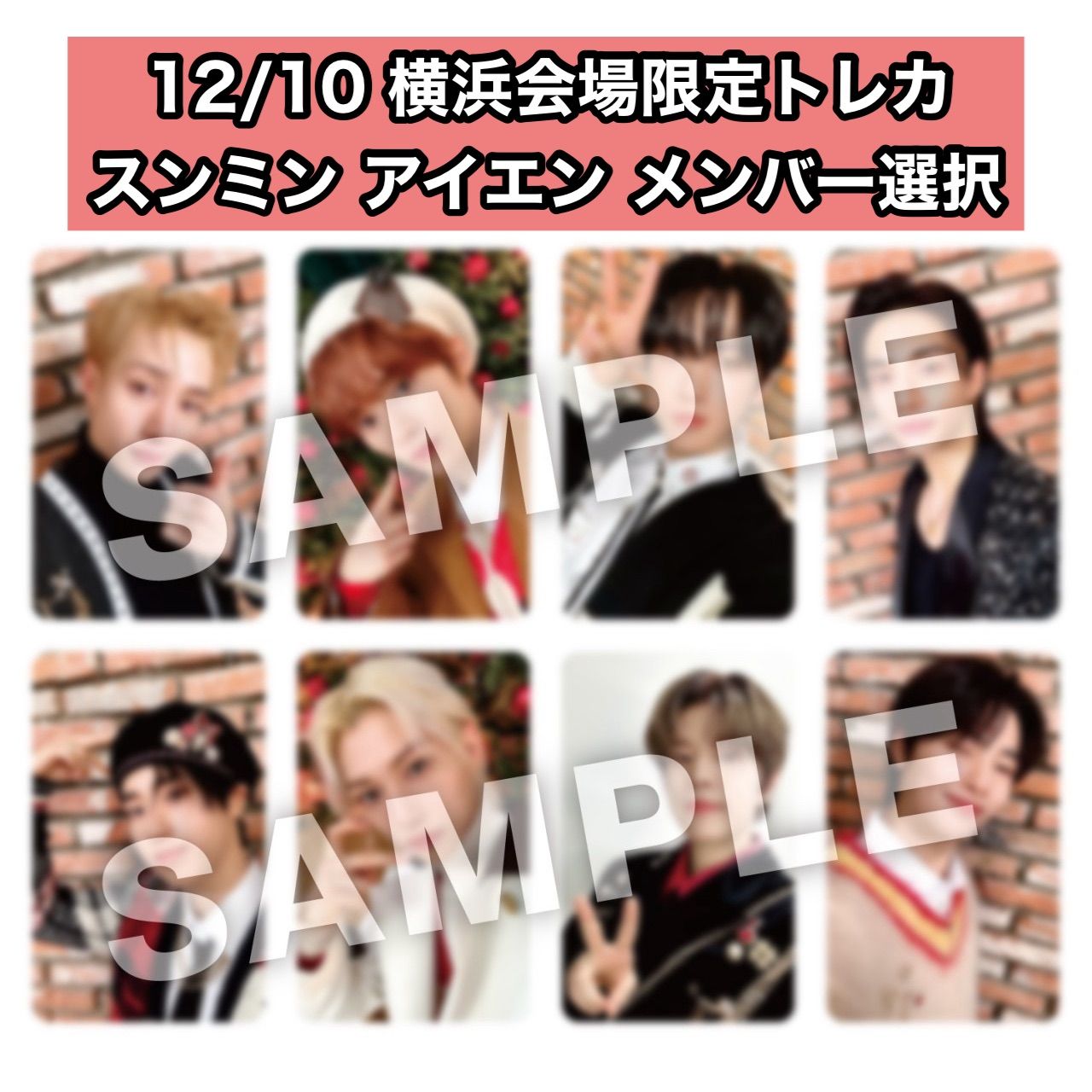 Stray Kids スキズ パシフィコ横浜 12/10 会場限定 トレカ スンミン