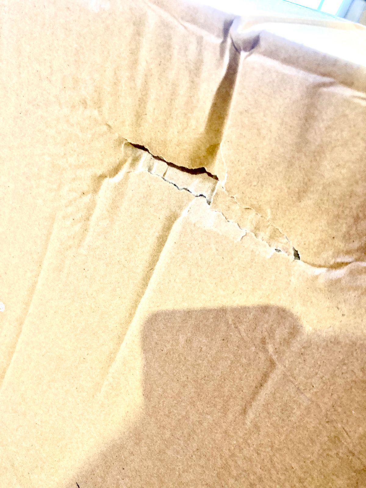 アイリスオーヤマ 扇風機