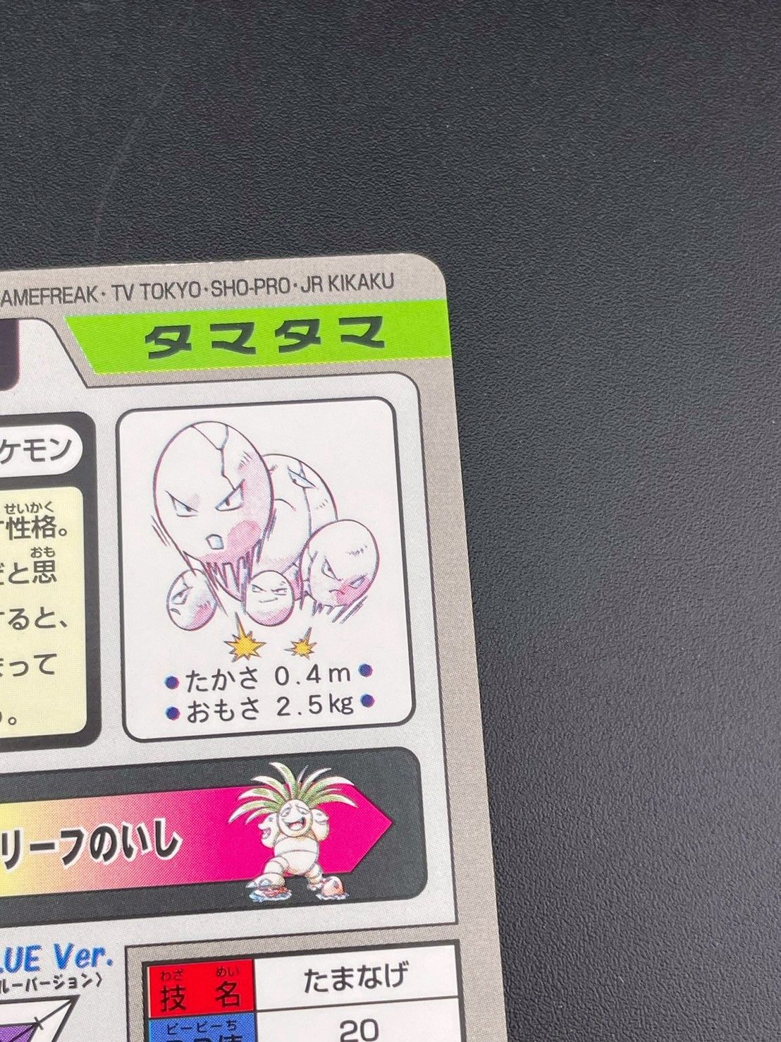 のサムネイル