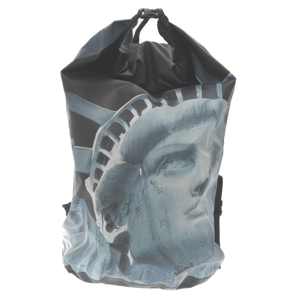 SUPREME (シュプリーム) 19AW×THE NORTH FACE Statue of Liberty 