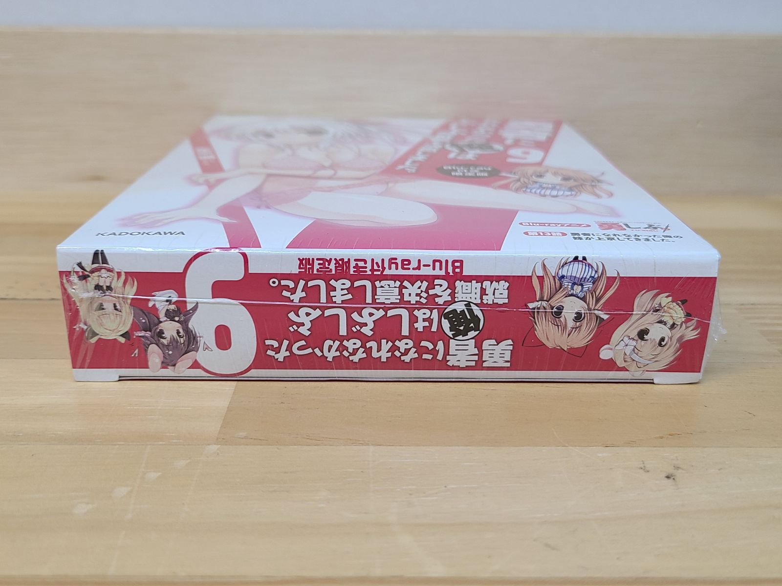 未開封 勇者になれなかった俺はしぶしぶ就職を決意しました。9
